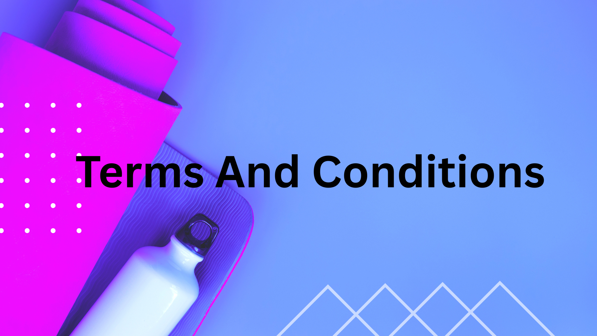 terms and conditions