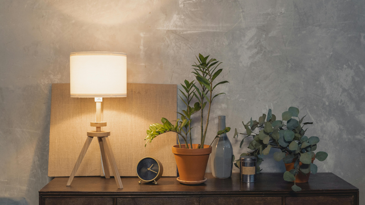 organic modern interior design