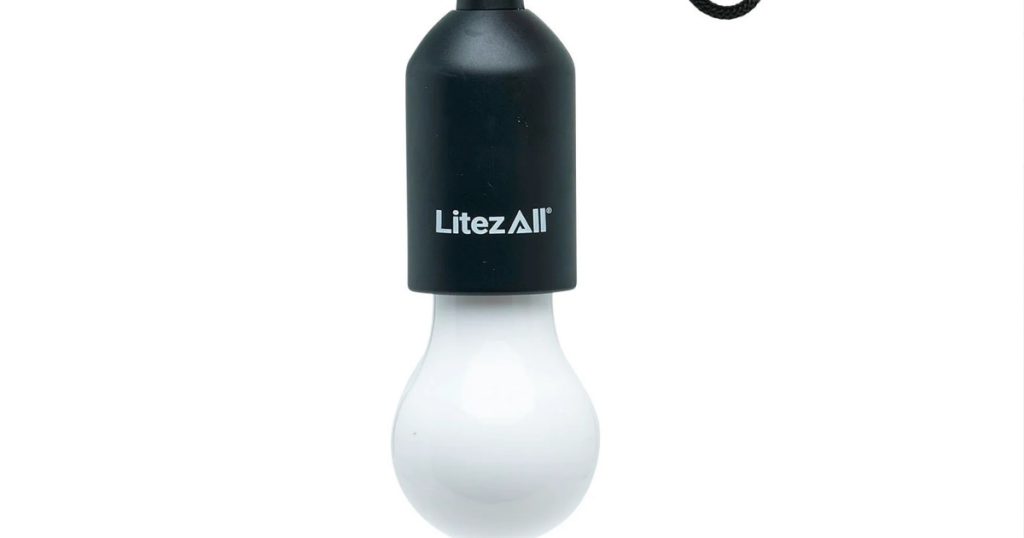 Battery powered picture light