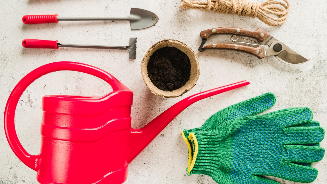 Essential Gardening Tools for Beginners: A Complete Guide to Get You Started