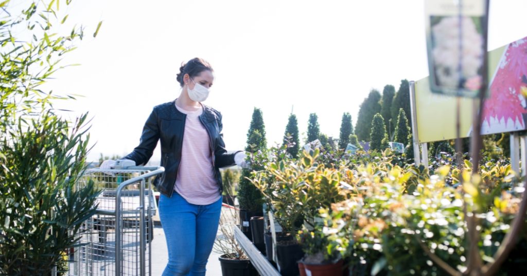 %Focus keyword% garden center at tractor supply