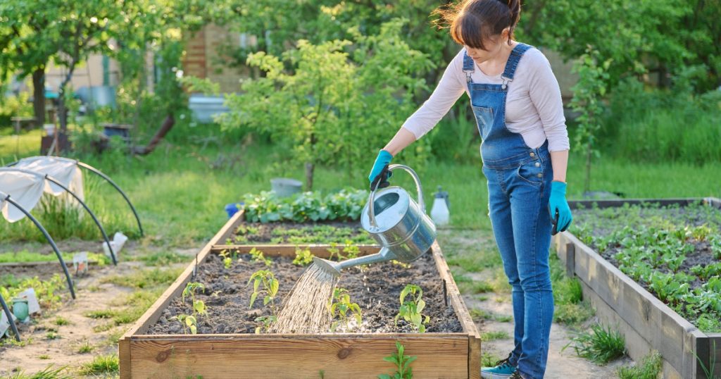 %Focus keyword% raised garden bed ideas