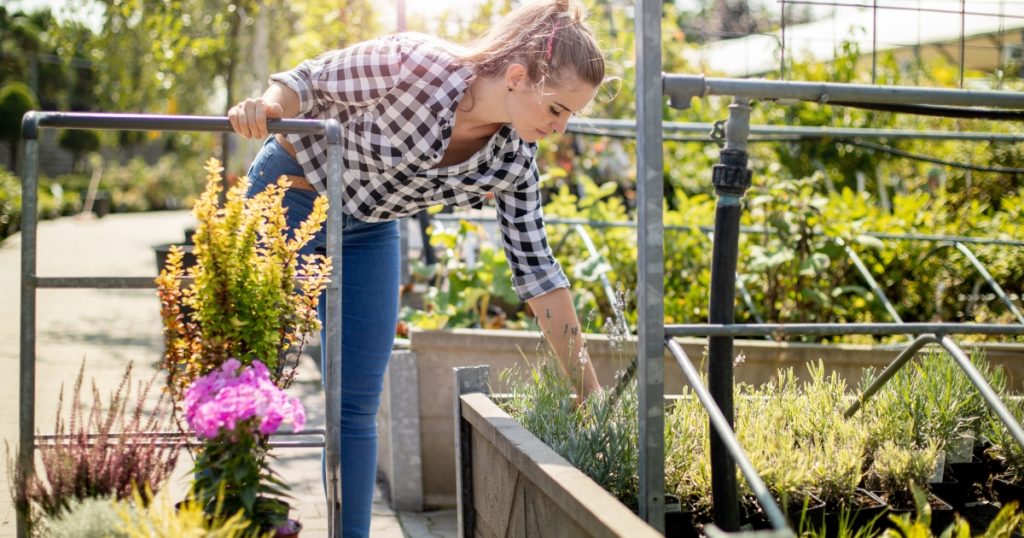 %Focus keyword% raised garden bed ideas