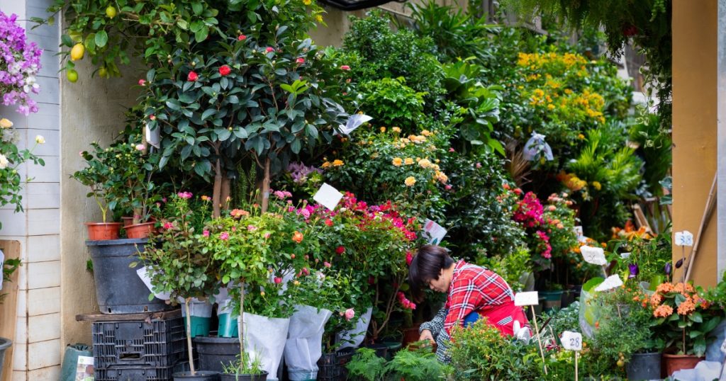 Garden Nursery Near Me