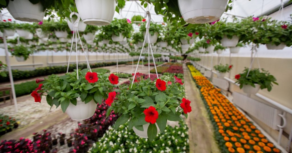 Garden Nursery Near Me