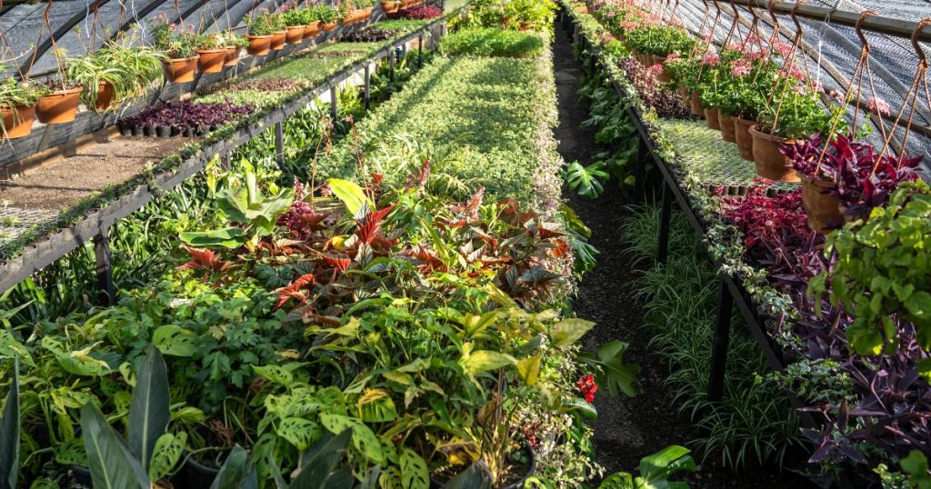 Garden Nursery Near Me