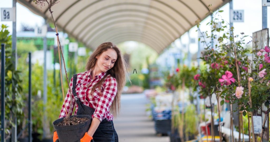 %Focus keyword% Garden Stores Near Me
