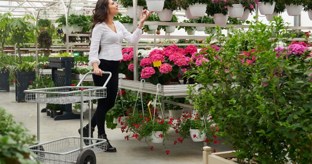 %Focus keyword% Garden Stores Near Me