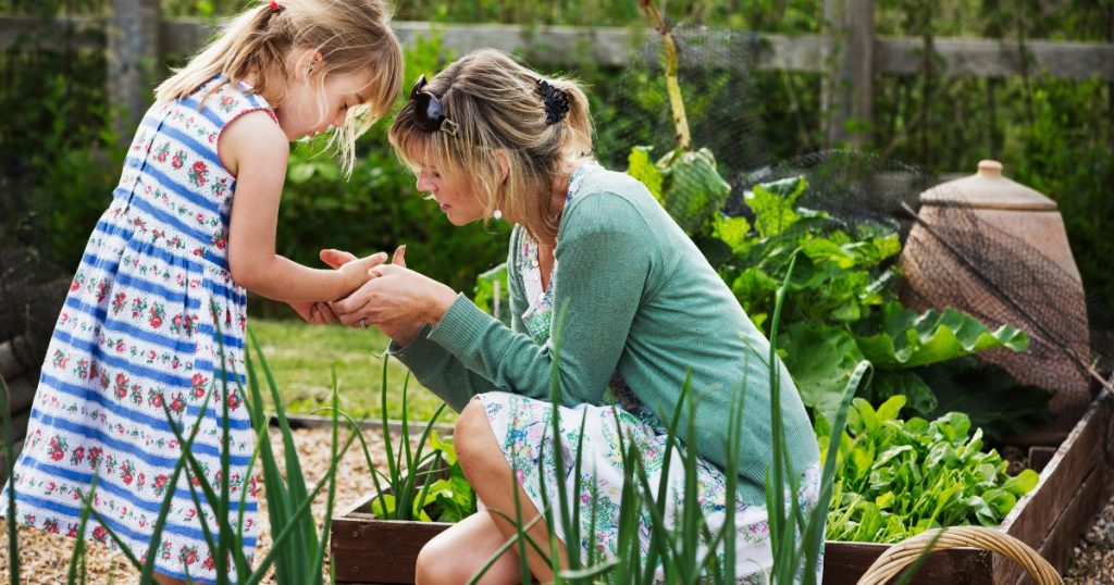 Metal Raised Garden Beds