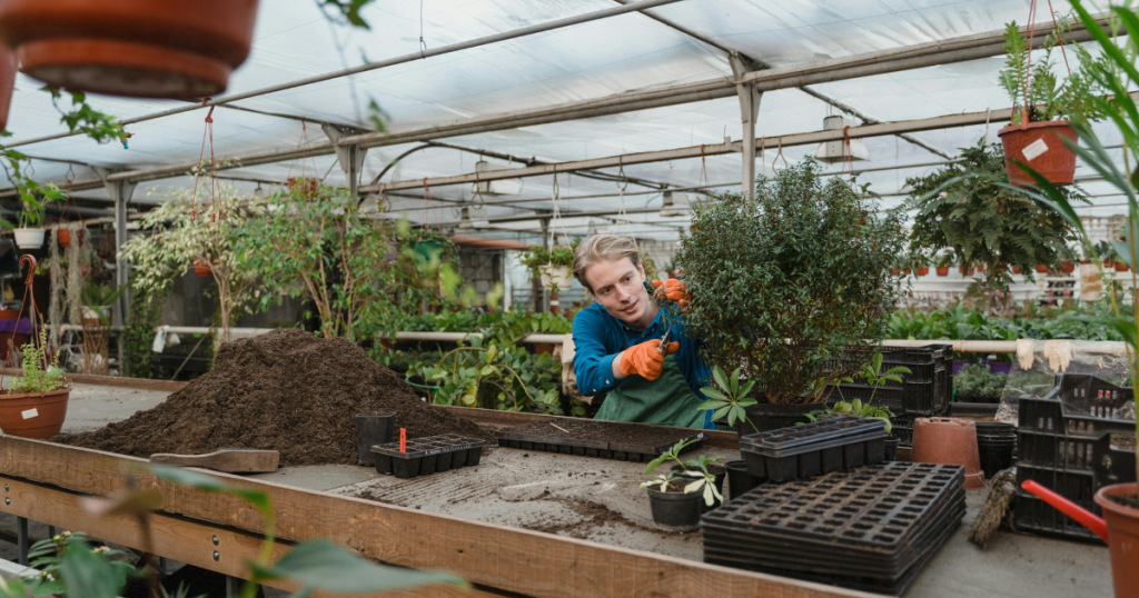 garden nurseries near me