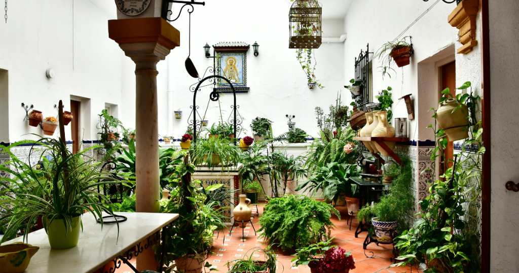 %Focus keyword% garden pots and hanging baskets