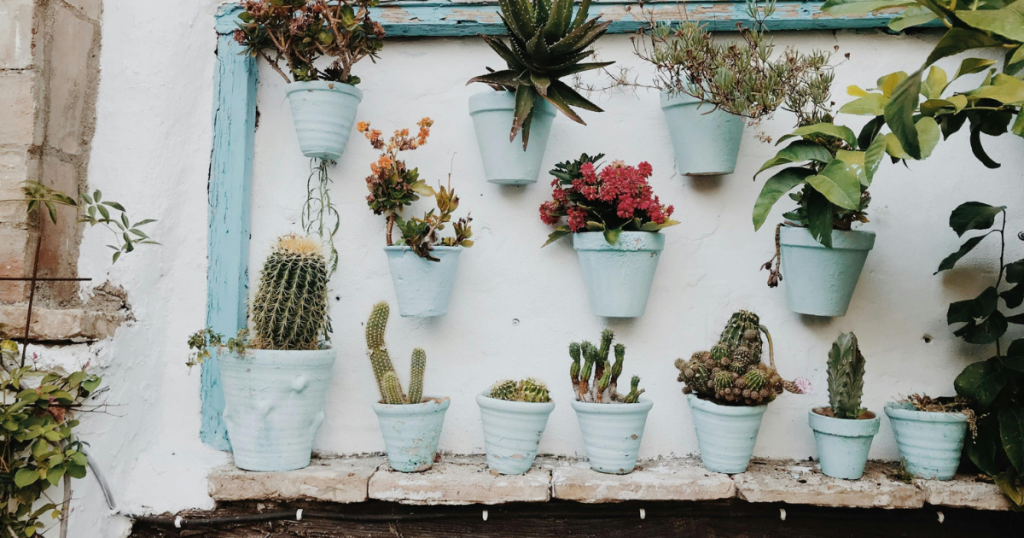 %Focus keyword% garden pots and hanging baskets