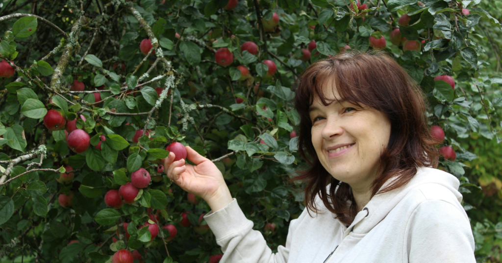 candy apple recipe grow a garden