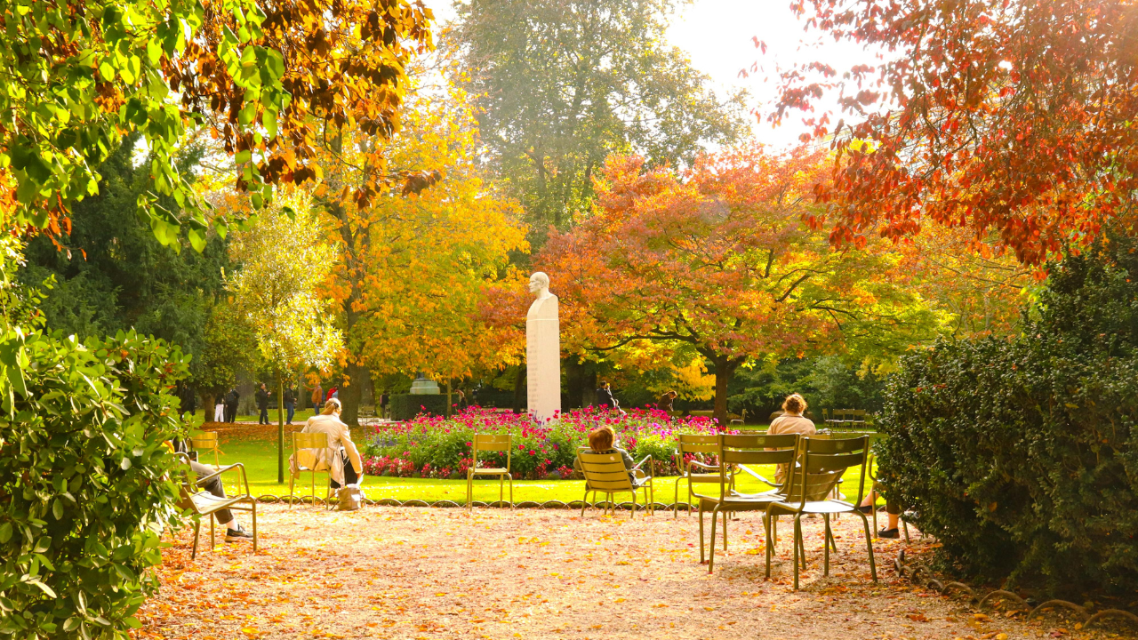 hodgson burnett secret garden