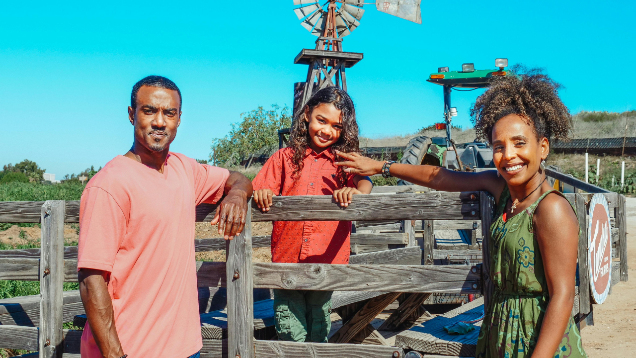 fairy targeter grow a garden