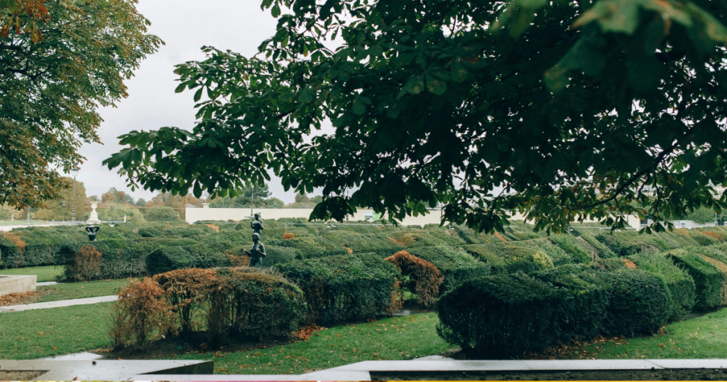 the secret garden frances hodgson